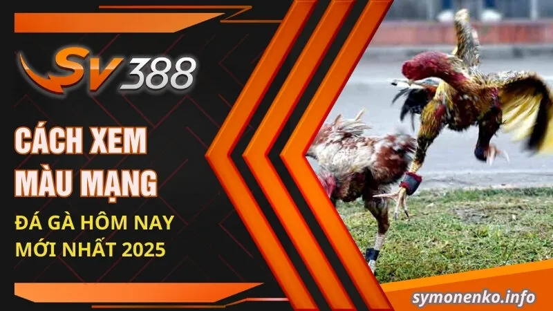 cach xem mau mang da ga hom nay moi nhat 2025