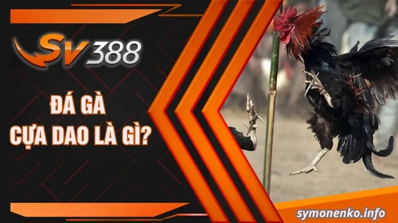Đá gà cựa dao là gì?