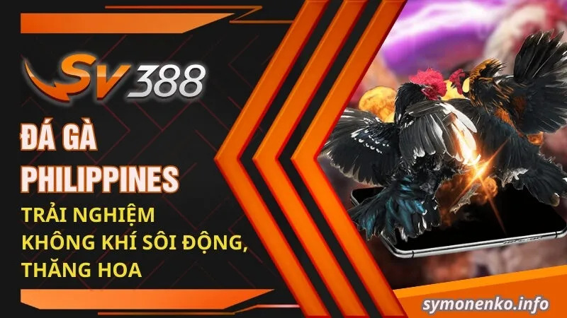 Đá Gà Philippines - Trải Nghiệm Không Khí Sôi Động, Thăng Hoa 10 Đá gà Philippines