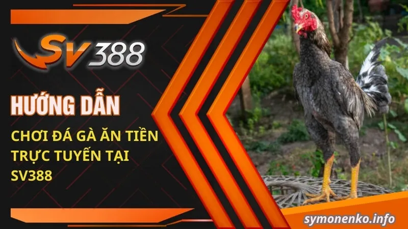 Hướng dẫn chơi đá gà ăn tiền trực tuyến tại SV388