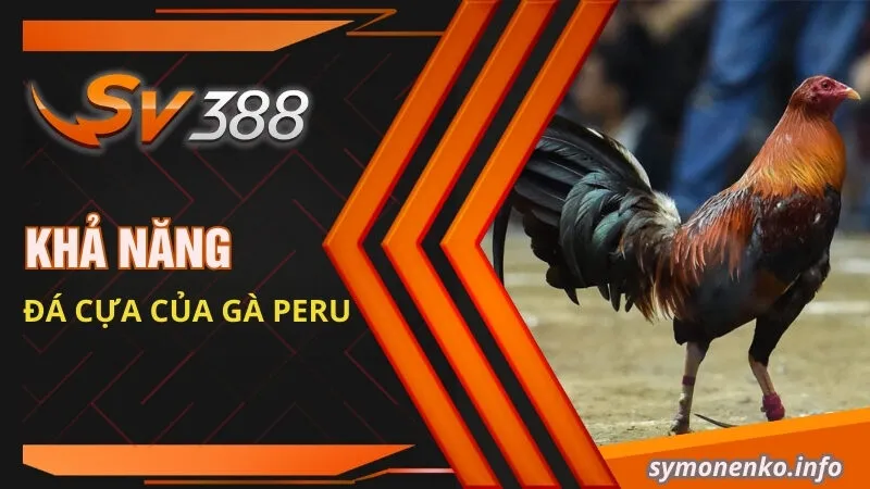Khả năng đá cựa của gà Peru