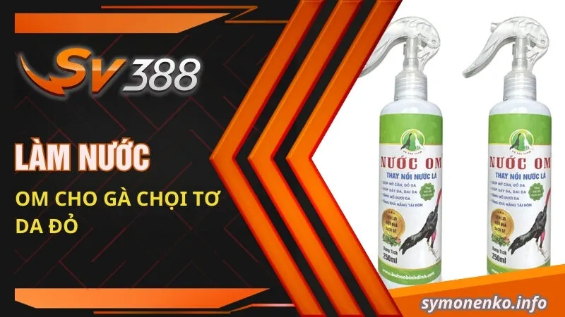 Làm nước om cho gà chọi tơ da đỏ