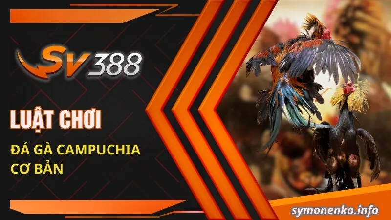 Luật chơi đá gà Campuchia cơ bản