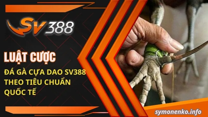 Luật cược đá gà cựa dao SV388 theo tiêu chuẩn quốc tế