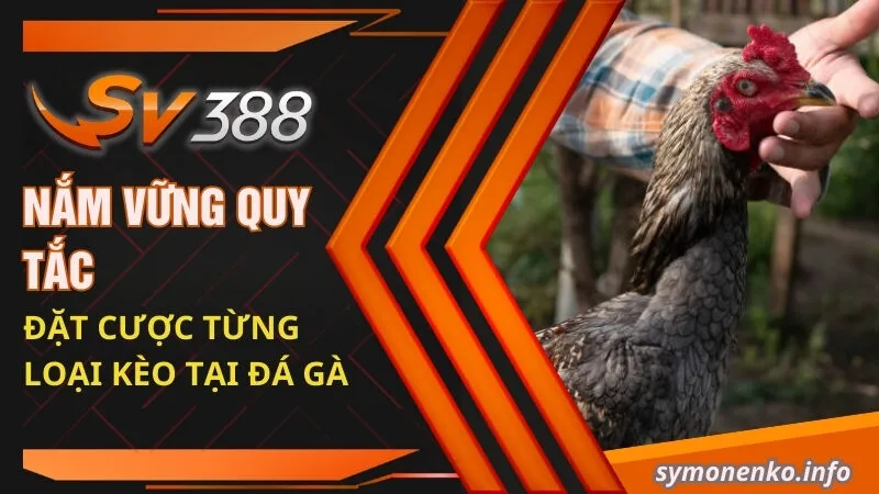 Nắm vững quy tắc đặt cược từng loại kèo tại đá gà