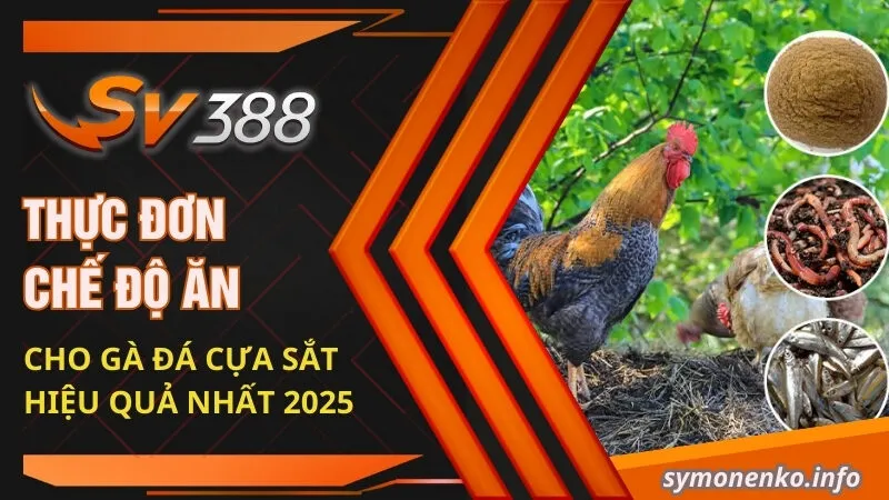 thuc don che do an cho ga da cua sat hieu qua nhat 2025