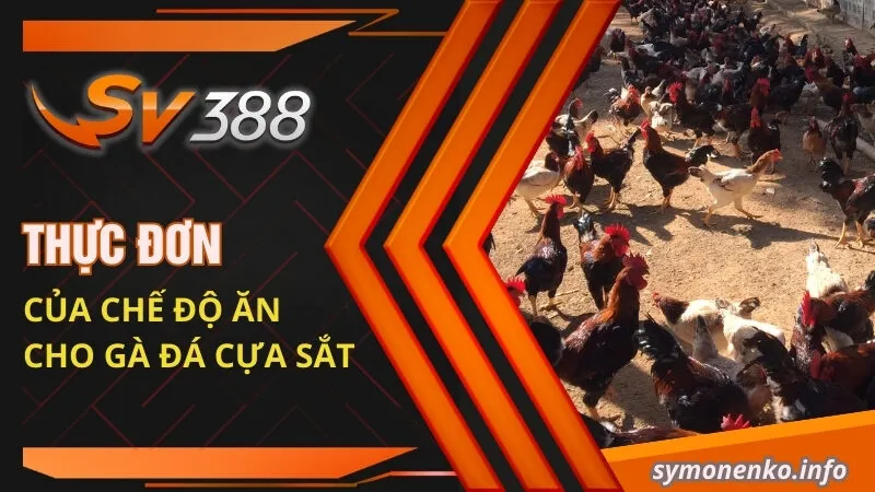 Thực đơn của chế độ ăn cho gà đá cựa sắt