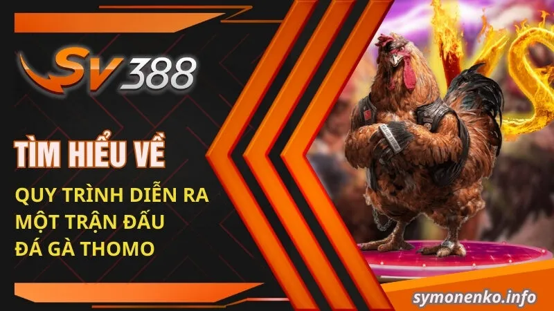 Tìm hiểu về quy trình diễn ra một trận đấu đá gà Thomo