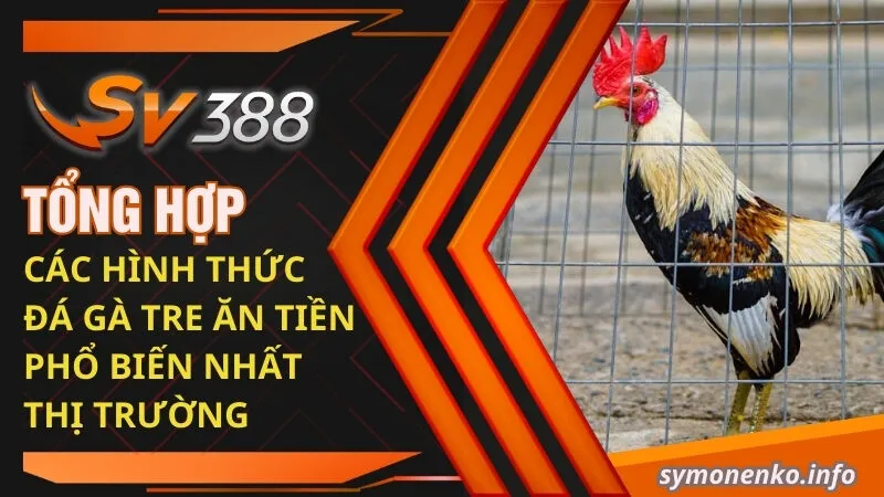 Tổng hợp các hình thức đá gà tre ăn tiền phổ biến nhất thị trường