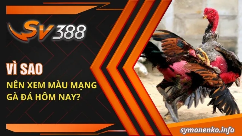 Vì sao nên xem màu mạng gà đá hôm nay?