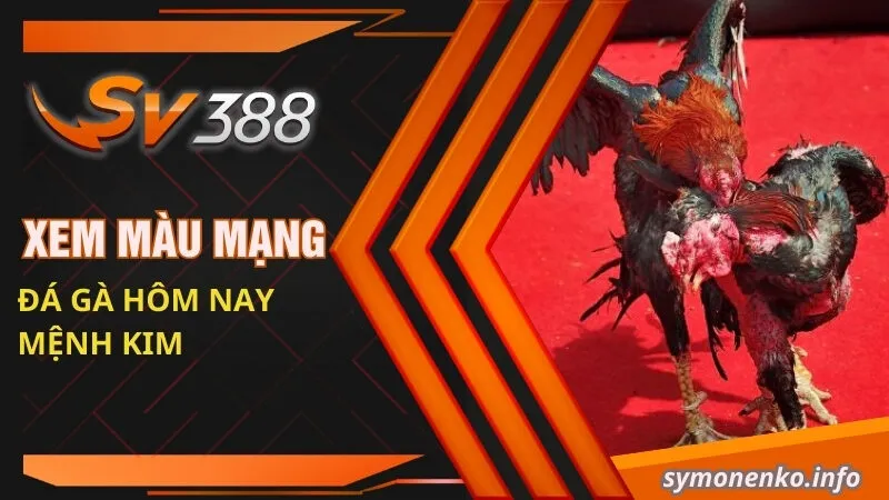 Xem màu mạng đá gà hôm nay mệnh Kim