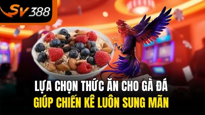 lua chon thuc an cho ga da giup chien ke luon sung man