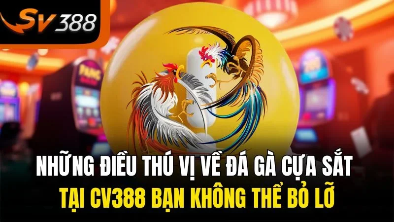 nhung dieu thu vi ve da ga cua sat tai cv388 ban khong the bo lo